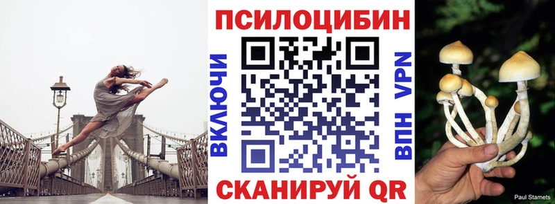 OMG маркетплейс Рыбное Галлюциногенные грибы прущие грибы
